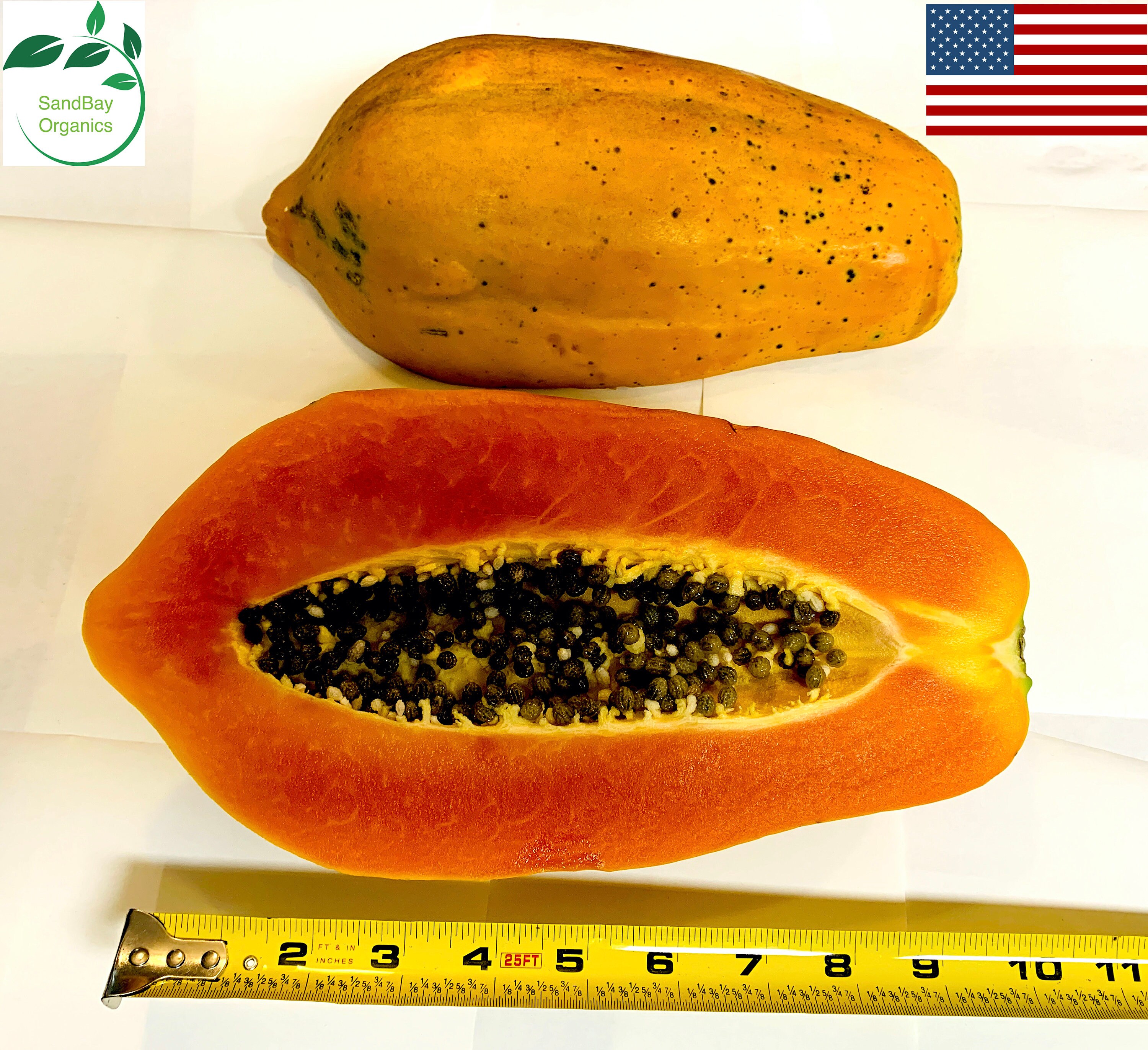 Papaya Fruit 50 Seeds Sweet Tropical Edible Plants in Garden Non GMO