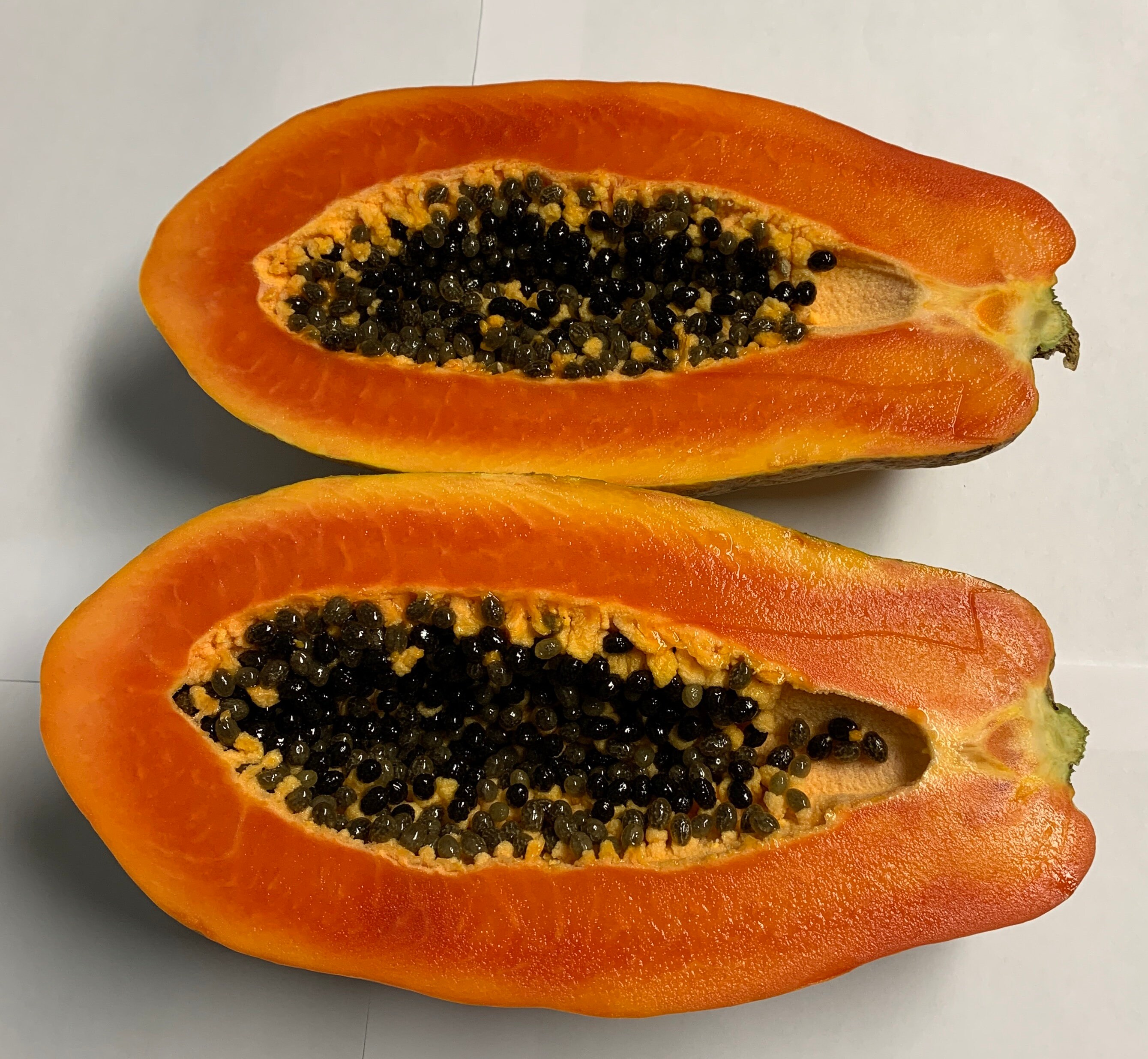 Organic Red Lady Papaya Seeds / Envío gratis de EE.UU. / Etsy