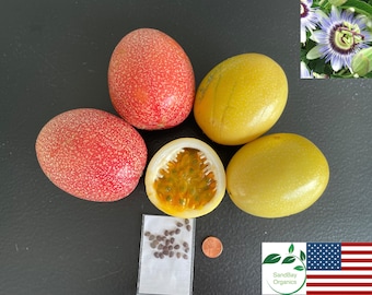 25+ Red or Golden Passion Fruit Seeds | Passiflora edulis | Organic | Grown in USA