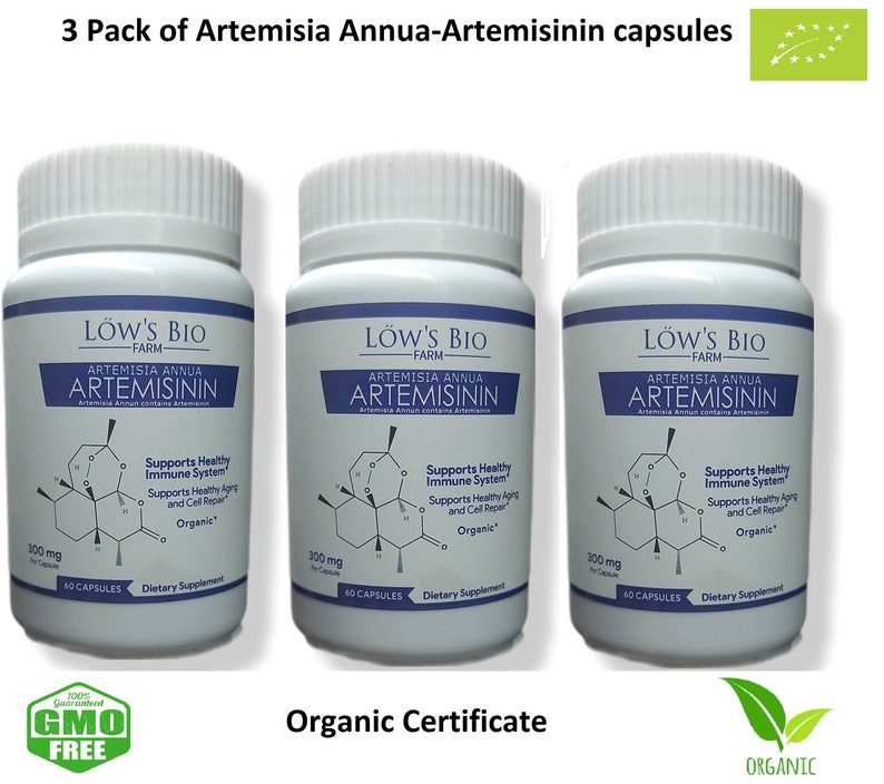 3 Boxes Artemisia annua Capsules 60 Artemisinin Capsules 300mg Organic Sweet Wormwood Capsules Organic Capsules FREE SHIPPING image 1