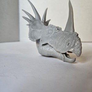 May include: A gray, unpainted resin model of a Styracosaurus dinosaur head. The figure features a prominent nasal horn, a textured, scaly skin surface, and a large frill adorned with multiple long, sharp spikes extending from the back of the skull.