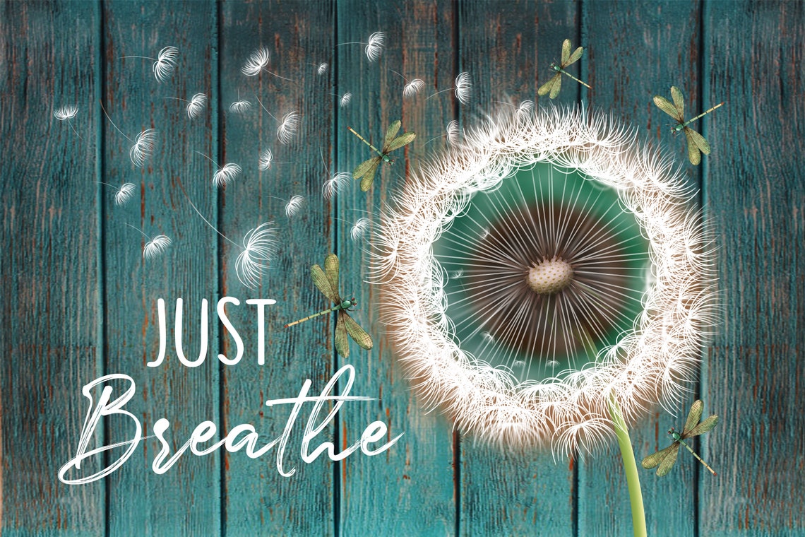 Just Breathe Dandelion & Dragonfly Canvas Wall Art Decor Etsy