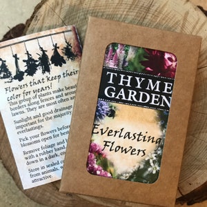 Everlasting Flower Collection to Grow Your Own Dried Flowers