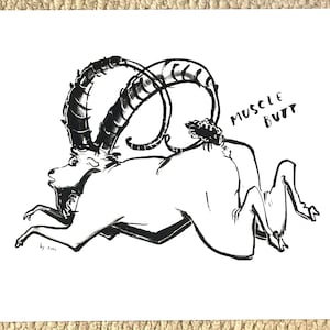 IBEX BUTT - A4 Print