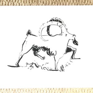IBEX MAJESTY - A4 print