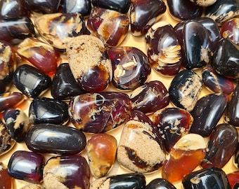 Tumbled Amber Motif Good Quality | 250g | 500g | 1000g | Healing Stone | Autentic