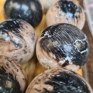 Sphere Palm Root | 500g | Good Quality | Decoration | Collection