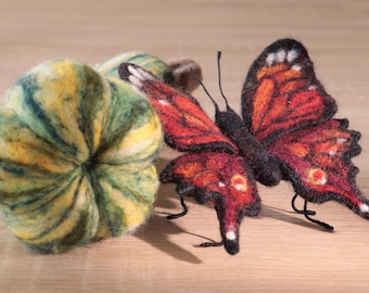 Autumn composition of pumpkins and a butterfly.