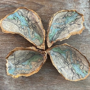 May include: Four oyster shells arranged in a cross pattern, each featuring a decoupage map of Salt Bay with light blue water, tan land, and black contour lines. The edges of each shell are painted with a metallic gold finish.