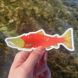 May include: A red and orange salmon sticker with a white outline and the text "August Campbell" in green. The sticker is on a white background.