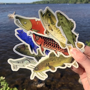 THE BIG CATCH - fish sticker bundles