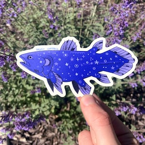 starry coelacanth sticker