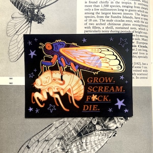 cicada - grow scream f*ck die