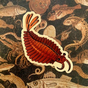 anomalocaris sticker
