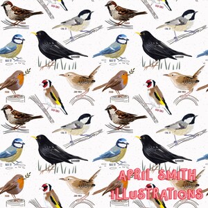 Garden Birds seamless pattern, surface pattern, non exclusive, digital file fabric pattern, birds