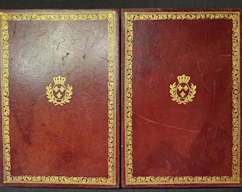 Backgammon game disguised as two leather-bound books