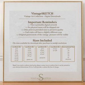 May include: A white background with a brown frame and text that reads "VintageSKETCH Vintage Art Collection - Digital Downloads". The text "Important Reminders" is in bold and followed by a list of reminders about the digital artwork. The text "Sizes Included" is in bold and followed by a table of file sizes available for download after purchase in 300dpi resolution. The table includes the following columns: 2x3 Ratio file, 3x4 Ratio file, 4x5 Ratio file, 11x14 Ratio file, and International Size. The table lists various sizes in inches and centimeters. The text "Note: If you need a custom sized print, please contact me to confirm that it can be resized to your desired dimensions. If it is, I will provide a custom file free of charge." is at the bottom of the page.