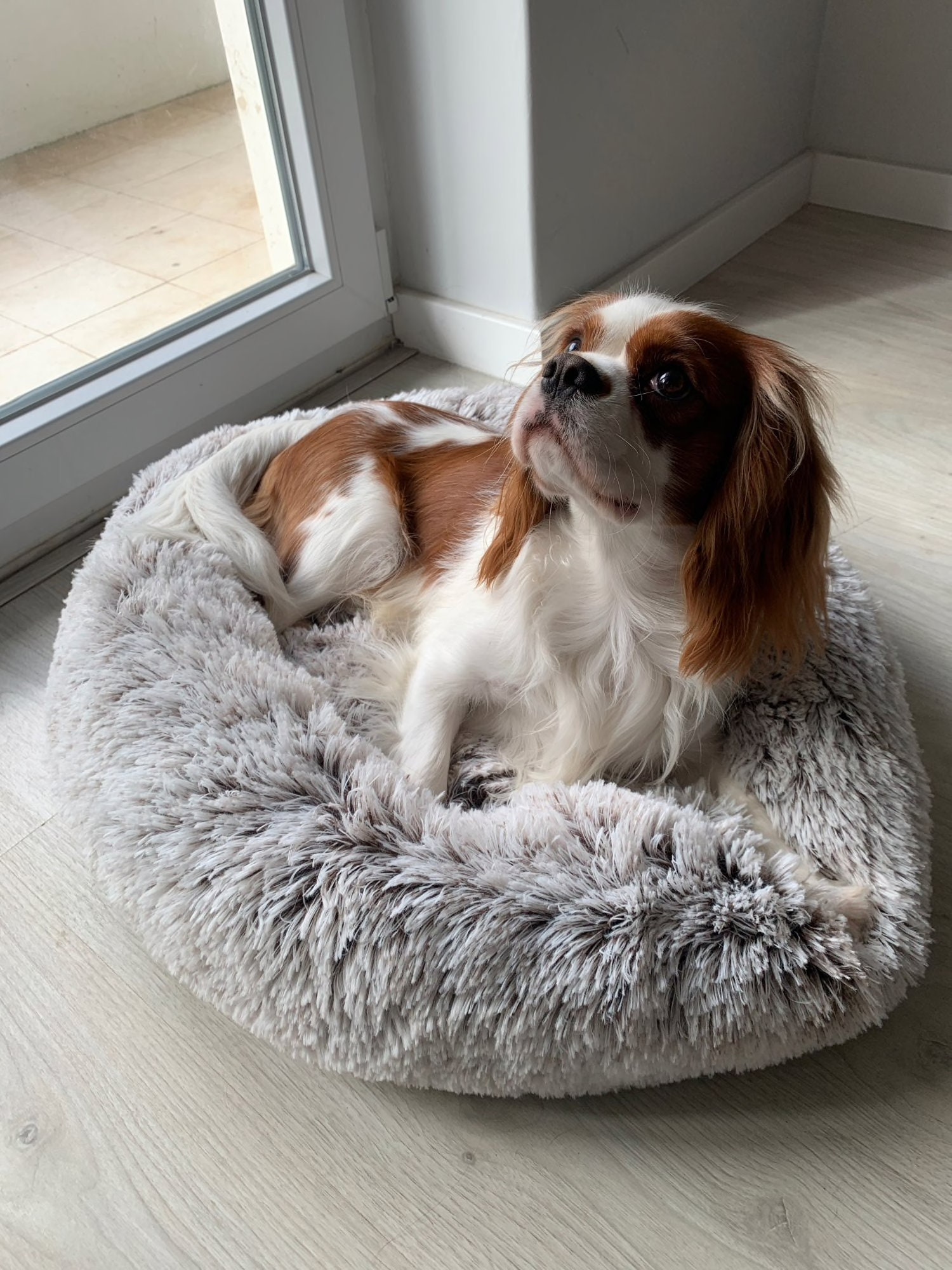 Calming Dog Bed Soft Fluffy Plush AntiAnxiety Orthopedic Dog Etsy