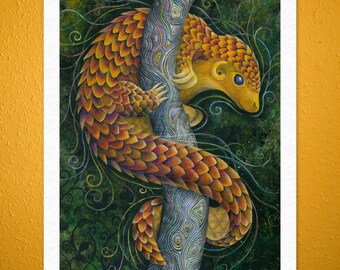 Giclée fine art print on canvas – Pangolin – 50x40cm