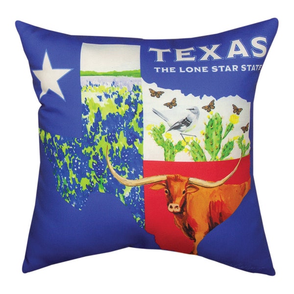 Texas Orange & White Pillow main image 0