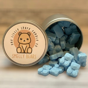 BEACH CLUB Smelly Bears-Beach Club Resort Inspired Melts-Disney Inspired Melts-Soy Blend One Little Spark Candle Company Wax Melts