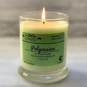 POLYNESIAN-Polynesian Resort Inspired Candle-Disney Inspired Candles-Soy Blend One Little Spark Candle Company 9 oz Candle