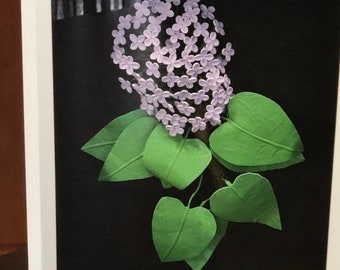 Peut inclure: Une œuvre encadrée représentant une grappe de fleurs lilas avec des feuilles vertes sur fond noir. L'œuvre est encadrée dans un cadre blanc, créant un contraste saisissant. L'arrangement floral est détaillé et réaliste.