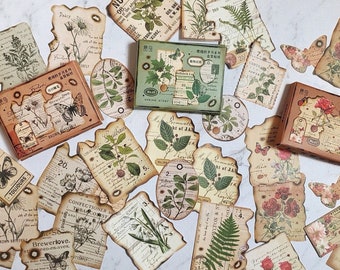 May include: A collection of vintage-style paper tags with floral and botanical illustrations. The tags are brown with a distressed look and feature various designs, including butterflies, flowers, and leaves. The text on the tags includes words like "Brewerlove", "Confectionery", and "Notice".