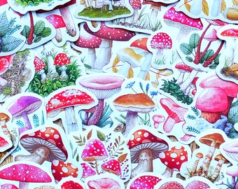 40 autocollants de forêt de champignons rouges, autocollants de champignons simples, autocollants de petits champignons, paquet d'autocollants de champignons, autocollants de champignons mignons, autocollants