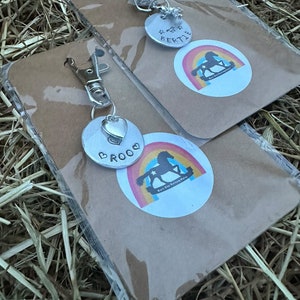 May include: Two personalized dog tags with a rocking horse design and the names "Bertie" and "Broo". The tags are packaged in clear plastic bags on a brown background.