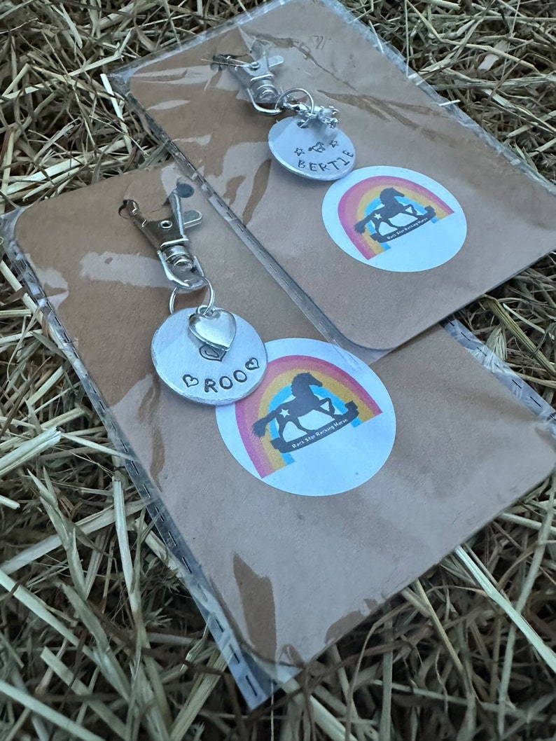 May include: Two personalized dog tags with a rocking horse design and the names "Bertie" and "Broo". The tags are packaged in clear plastic bags on a brown background.