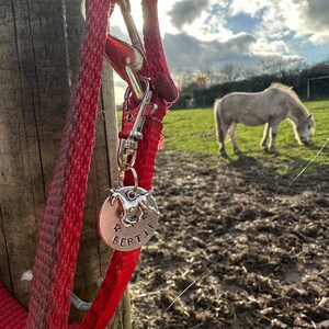 May include: A red rope leash with a silver clip and a silver tag that says "Bertie" with a horse silhouette on it. The leash is attached to a wooden post. A white horse is in the background.