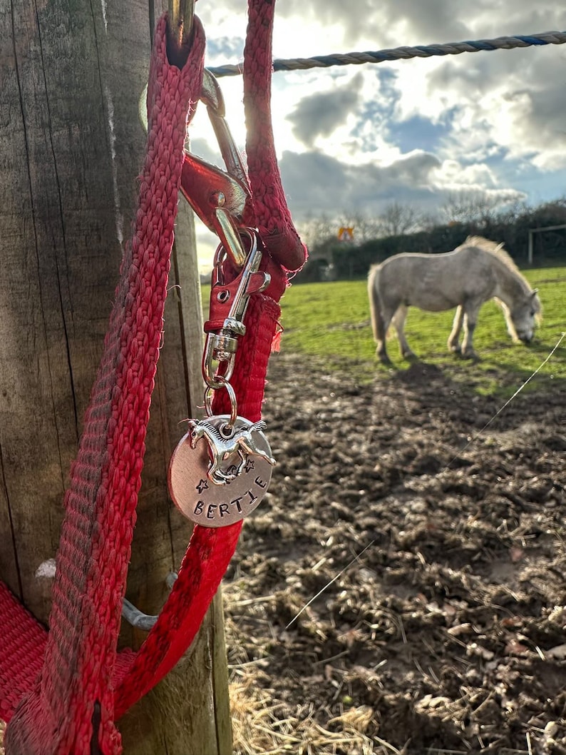 May include: A red rope leash with a silver clip and a silver tag that says "Bertie" with a horse silhouette on it. The leash is attached to a wooden post. A white horse is in the background.