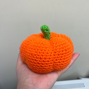 Fall pumpkin!