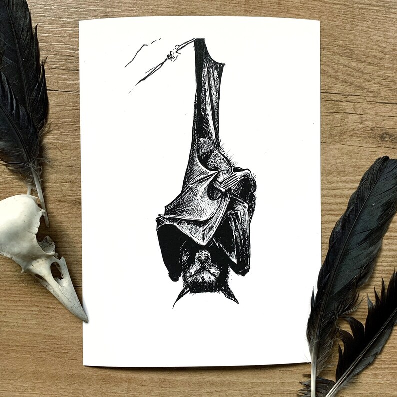 bat art hanging bat print Bat Print Halloween art