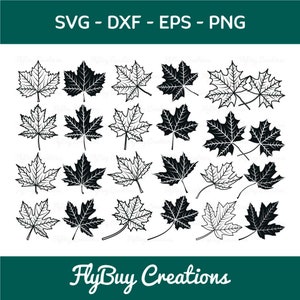 Maple Leaf SVG-Fall Leaves Silhouette Cut File Bundle
