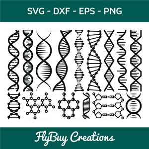 DNA SVG Bundle-DNA Molecule Svg-Genetic Svg-Dna Strand Svg-Dna Model Svg-Dna Structure Svg