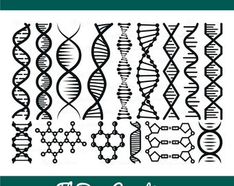 DNA SVG Bundle-DNA Molecule Svg-Genetic Svg-Dna Strand Svg-Dna Model Svg-Dna Structure Svg