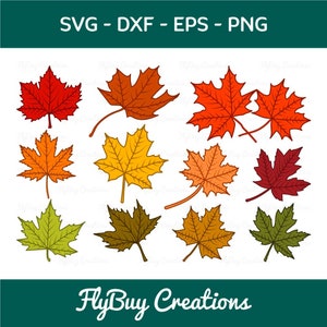 Maple Leaf SVG-Fall Leaves Clipart Cut File Bundle
