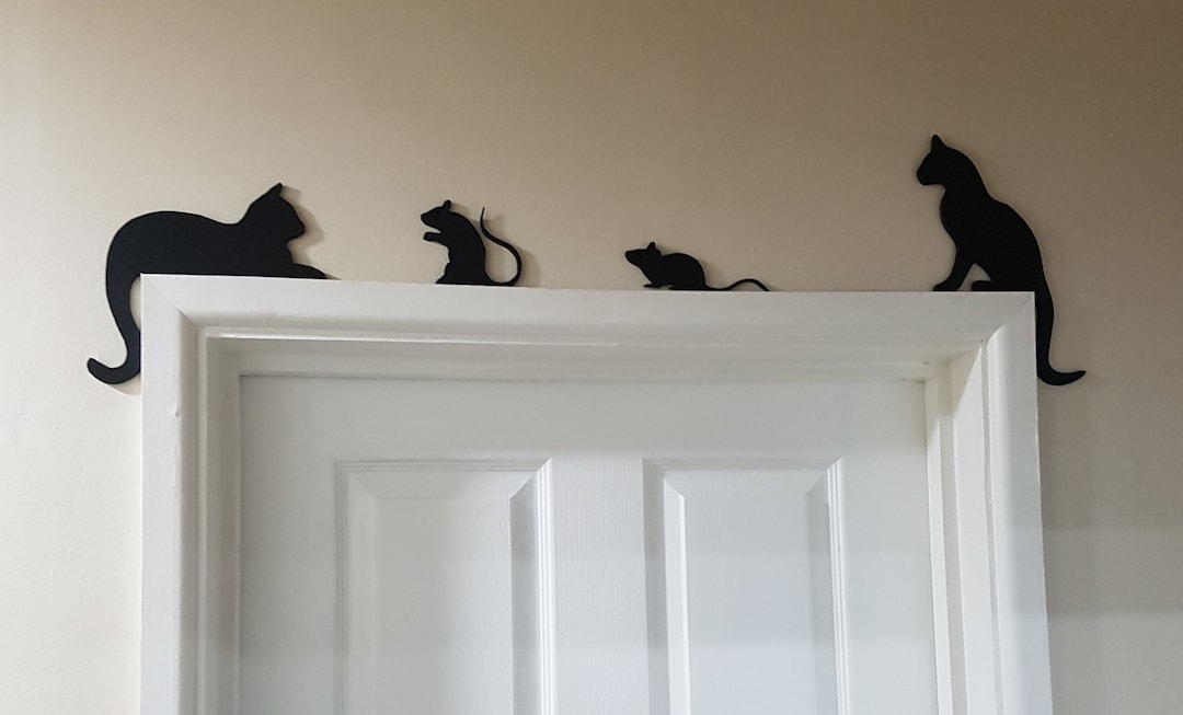 Cat flap hot sale that stops mice