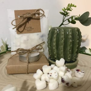 May include: A set of white heart-shaped wax melts with dried flowers, a small brown box with a white candle, and a green ceramic cactus-shaped wax warmer.
