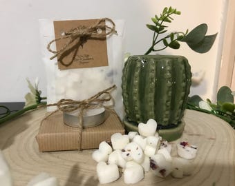 Cactus Ceramic Wax Burner & Soy Wax Melts Set, Plant Lover Gift