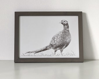 Pheasant Art Print A4 A5 | Animal Pen Ink Drawing Illustration