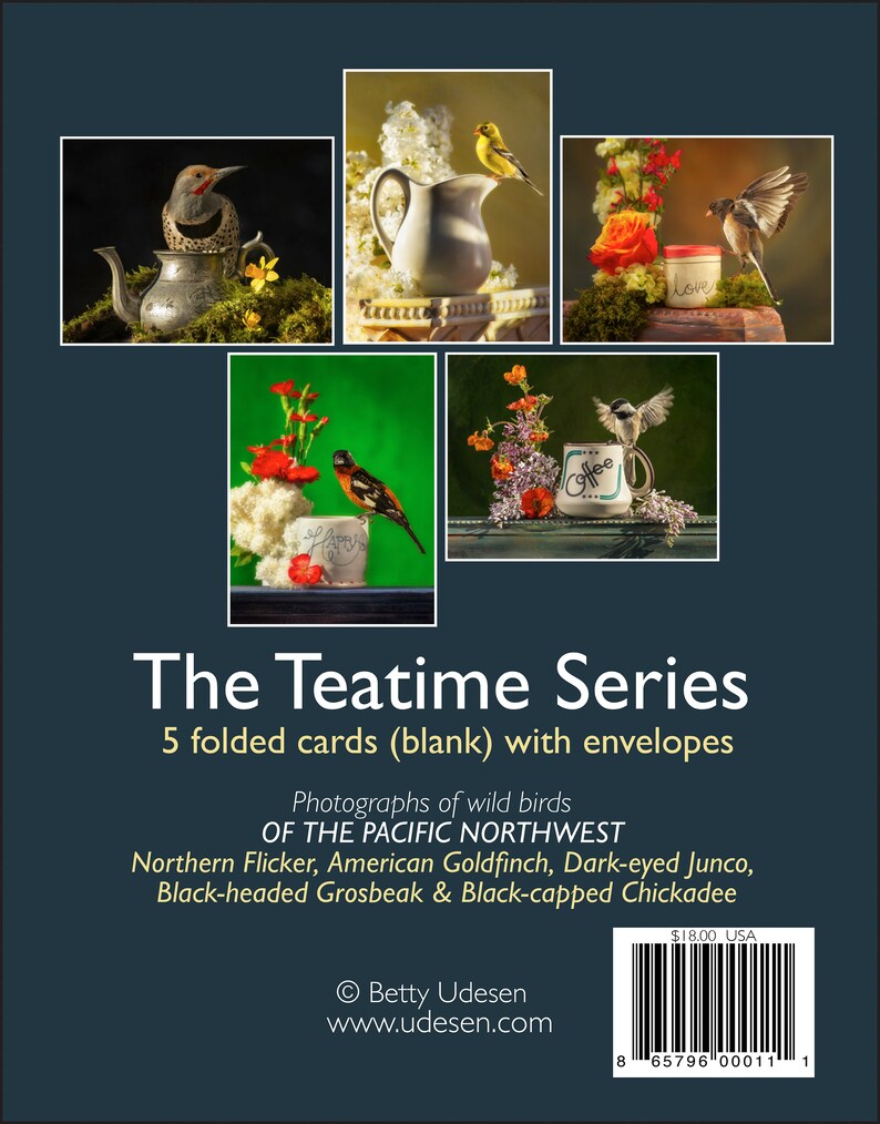 Teatime Series Boxed Greeting Cards Blank Folded Note Cards Etsy