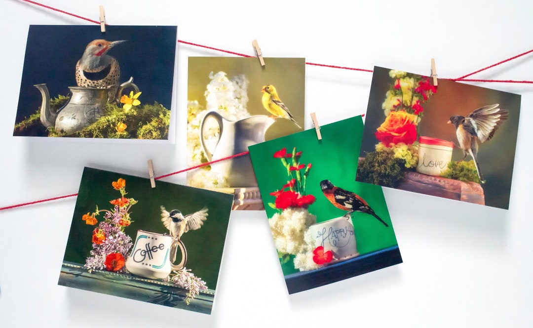 Teatime Series Boxed Greeting Cards Blank Folded Note Cards Etsy