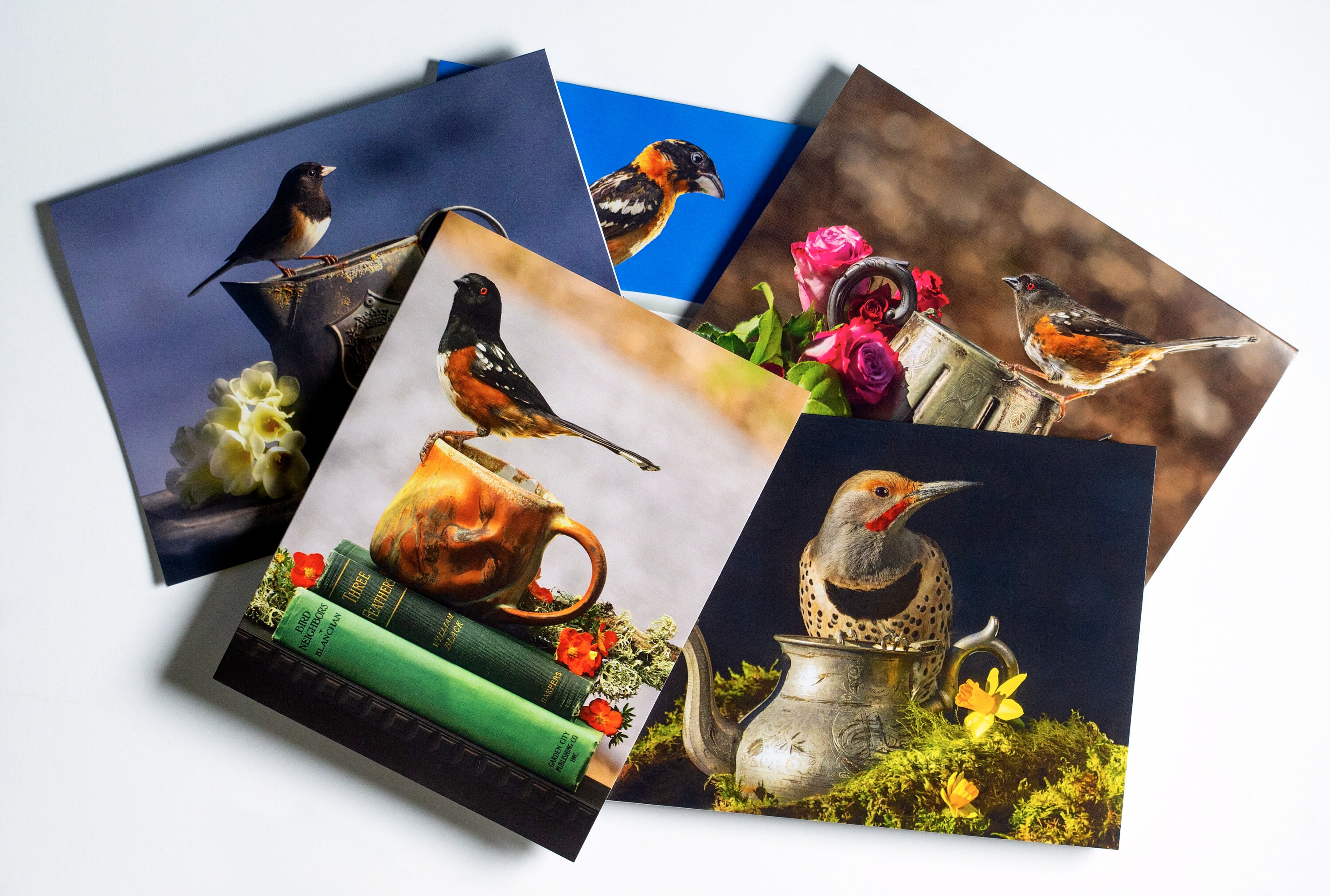 Teatime Series Boxed Greeting Cards Blank Folded Note Cards Etsy