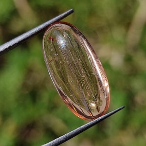 May include: A translucent, oval-shaped, light pink gemstone with visible internal lines. The gemstone is held by tweezers against a blurred green background.