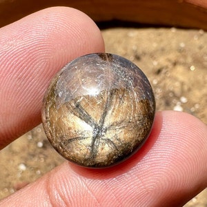 Può includere: Una pietra preziosa rotonda, tagliata a cabochon, con un motivo a forma di stella al centro. La pietra è di colore marrone scuro con un bagliore dorato.