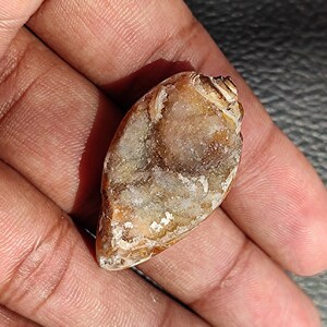 Beautiful Crystallize fossil shell gemstone, wholesale natural beautiful crystal druzy shell gemstone for jewellery making