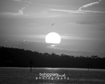 Black White Sunset Etsy